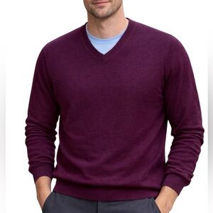 Banana Republic Luxury-Touch V-Neck Sweater in Rich Purple